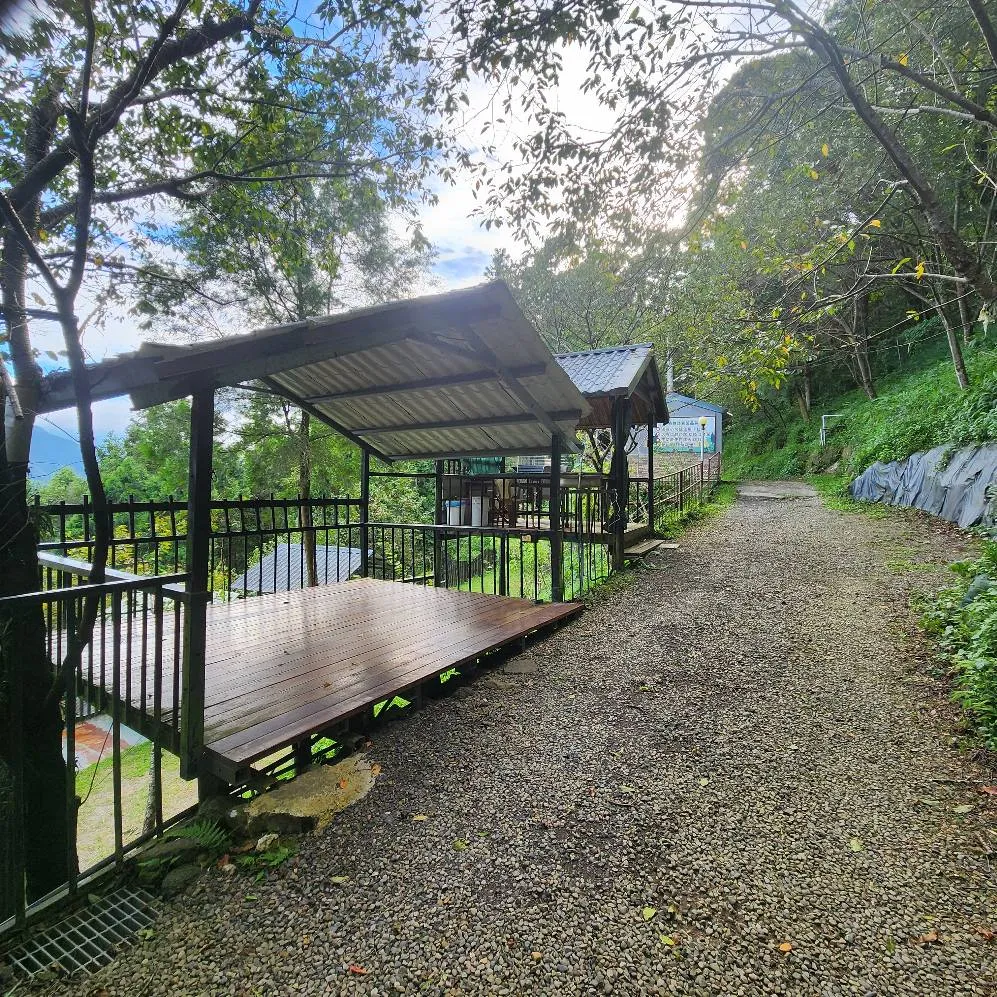 #山豬老闆熱愛乾淨整齊（全區大除草）